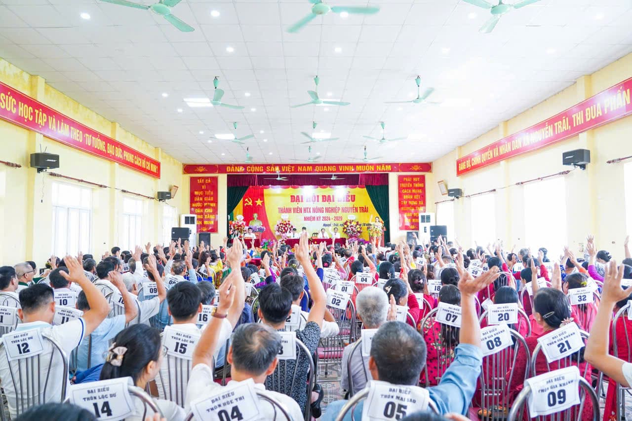 Thợ điện HTX Nguyễn Trãi làm việc thực địa